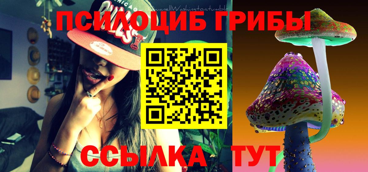 Минеральные Воды  Галлюциногенные грибы мицелий  Вход с VPN 